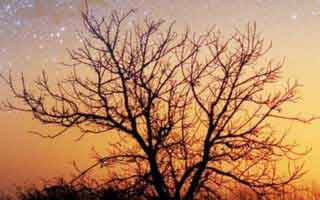 被99tk诱导下载后怎么办？手机自检的6个步骤：不确定就别点