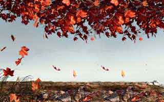 99tk澳门相关骗局复盘：他们最爱利用的心理是焦虑：读完你会更清醒