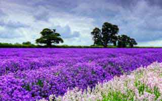 被澳门开奖结果内容影响到生活怎么办？自我评估的5个信号：别被‘稳赚’冲昏头