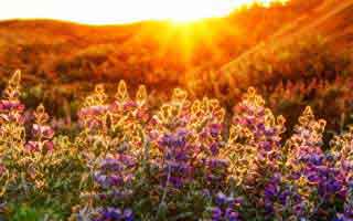 我查了一圈：开云app的跳转链条是怎么把人带偏的：1分钟快速避坑