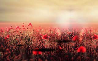 华体会体育HTH登录页，别跟着弹窗走，这一步做完立刻安心