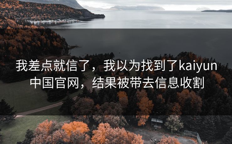 我差点就信了，我以为找到了kaiyun中国官网，结果被带去信息收割